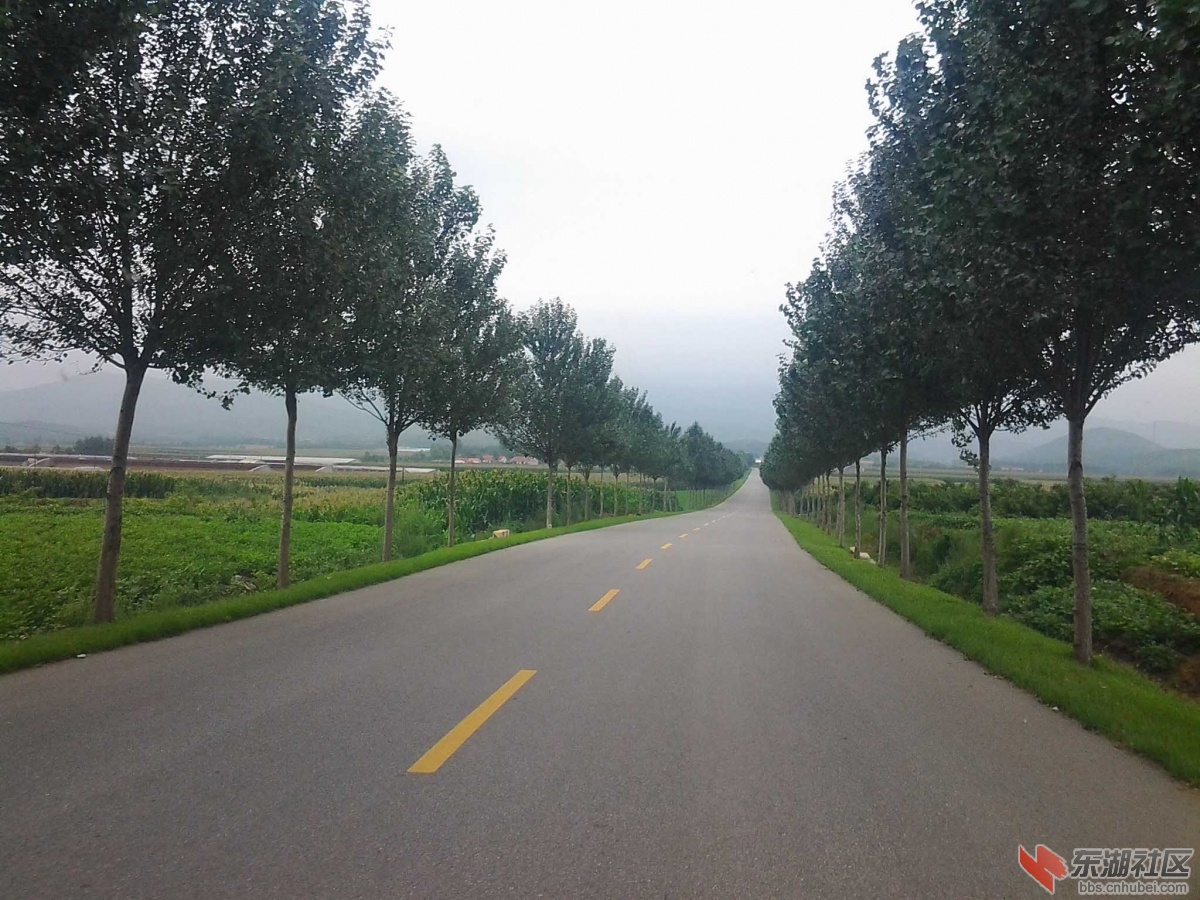 东北的乡村公路