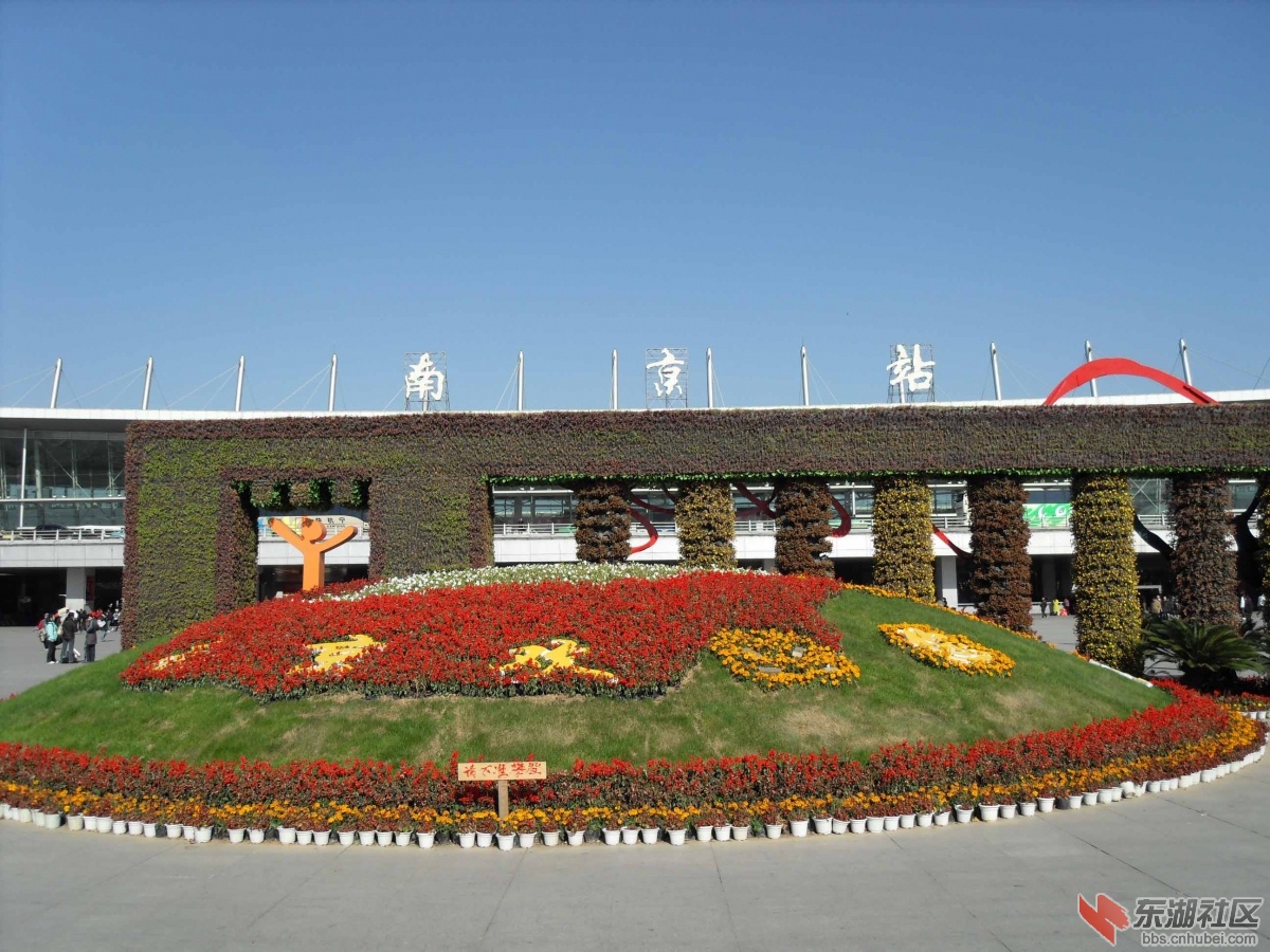 SDC12158.jpg