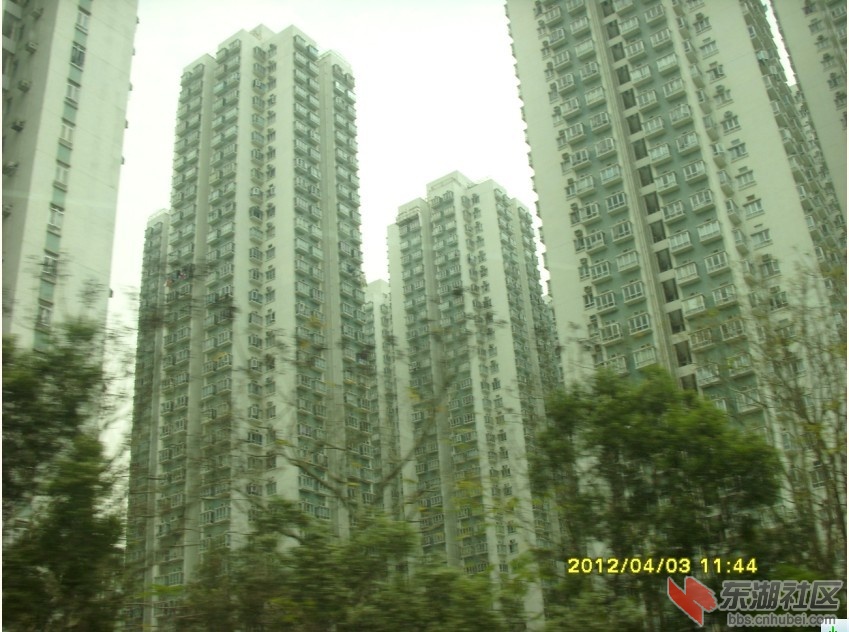 未命名8.jpg