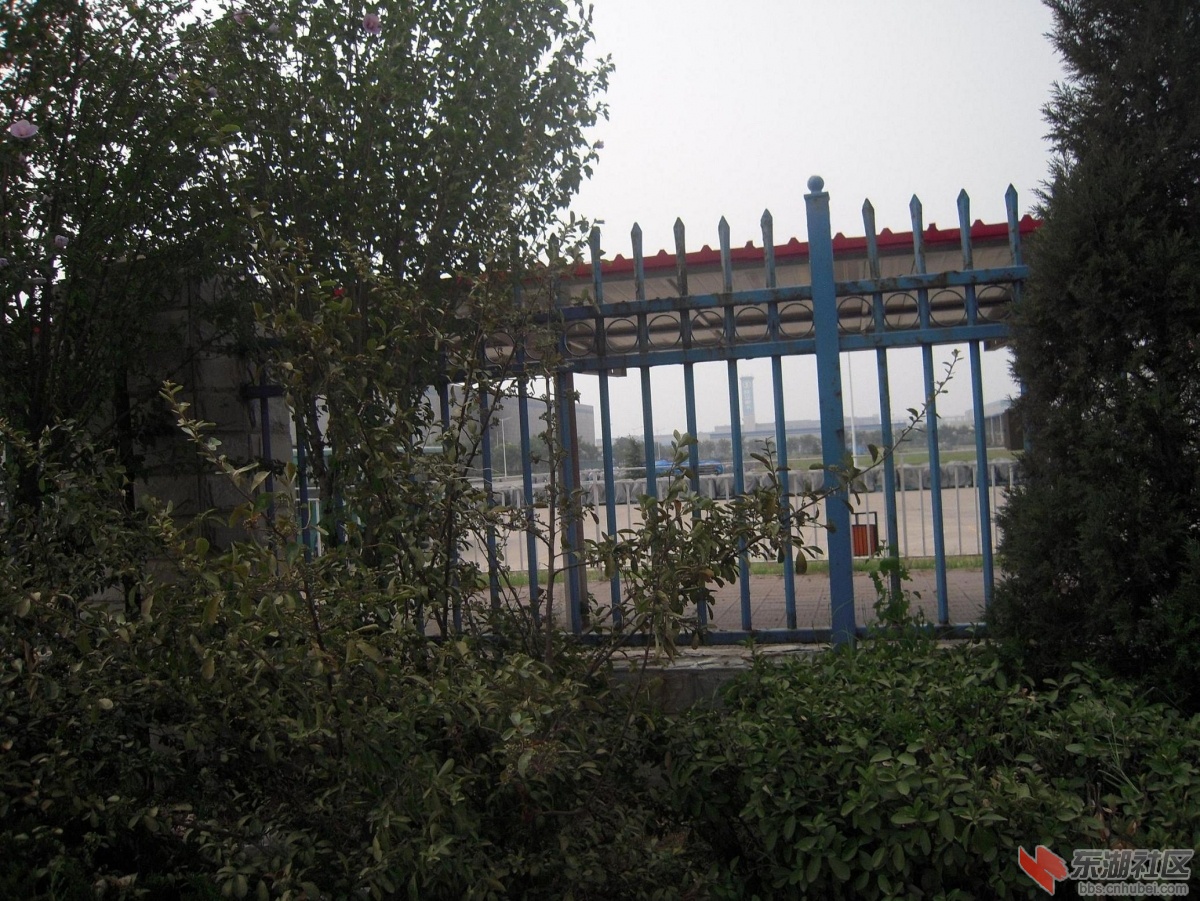 DSCN3553.JPG
