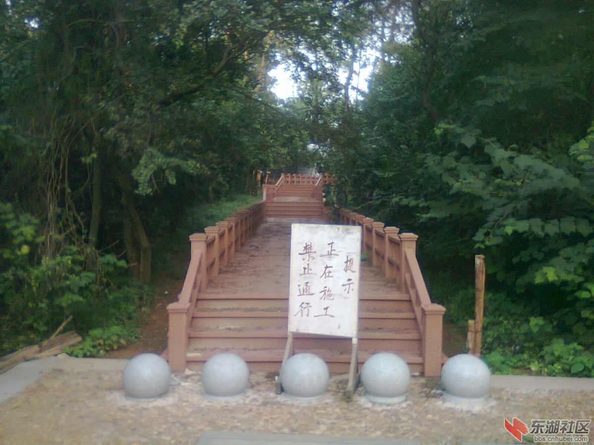 照片1029.jpg