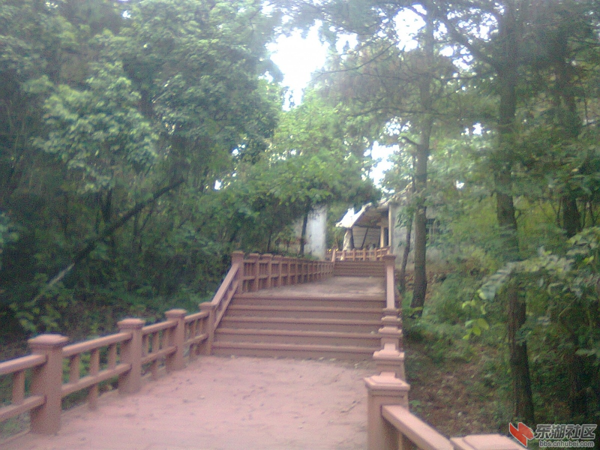 照片1032.jpg