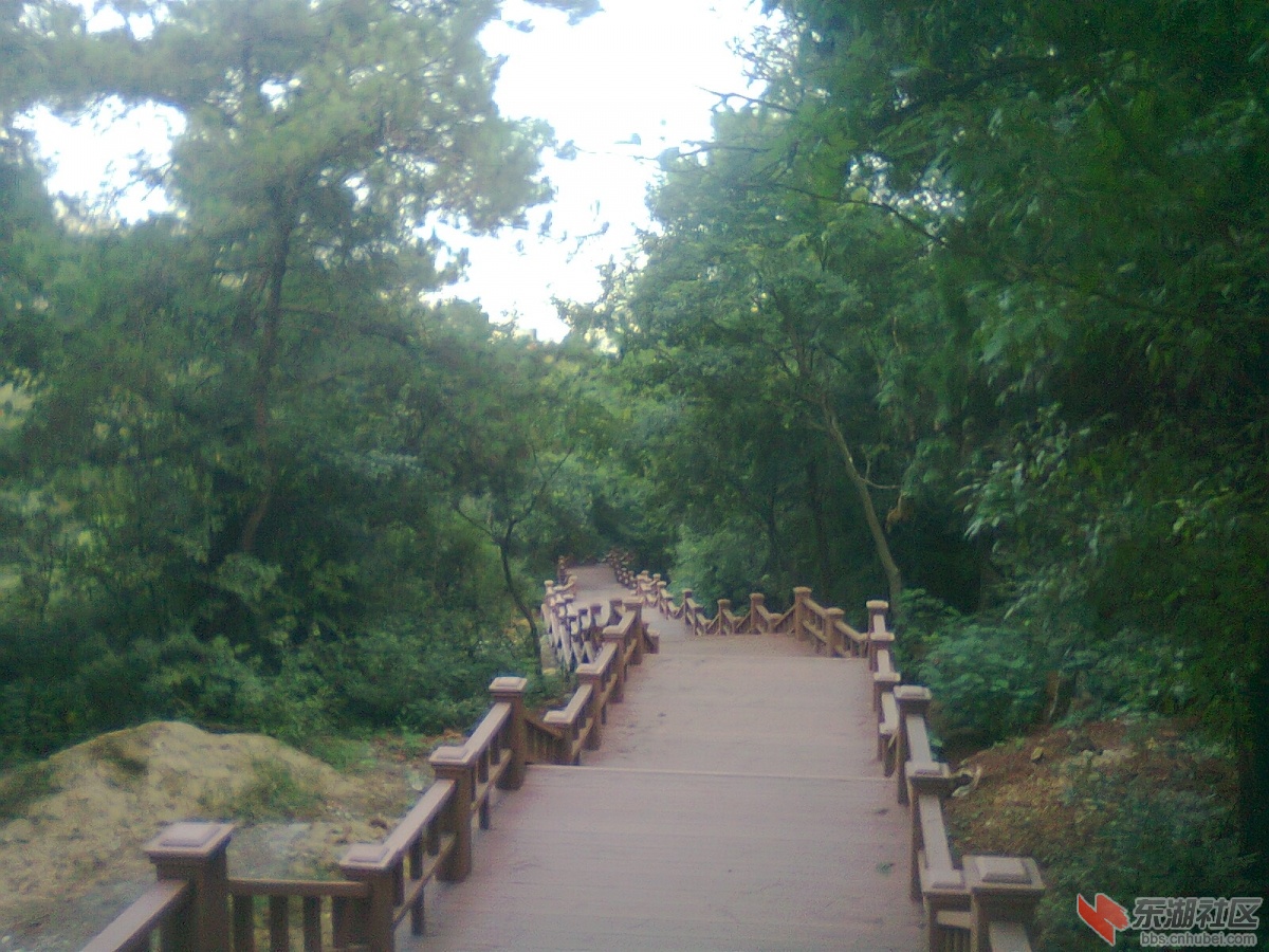 照片1042.jpg