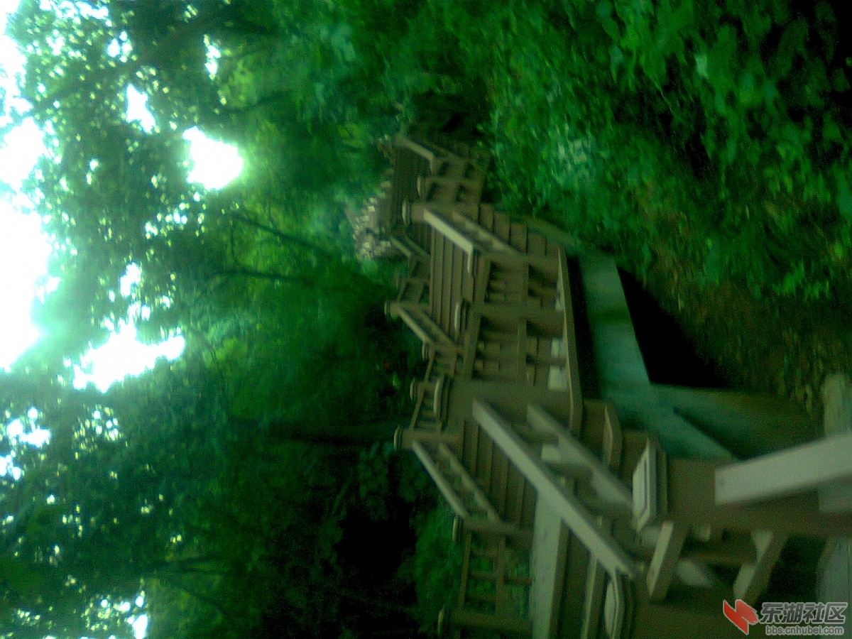 照片1047.jpg