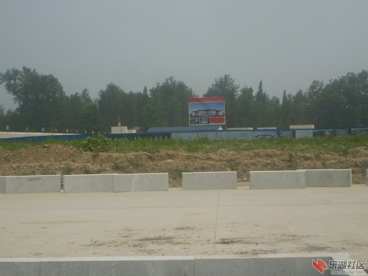 P7310541.JPG