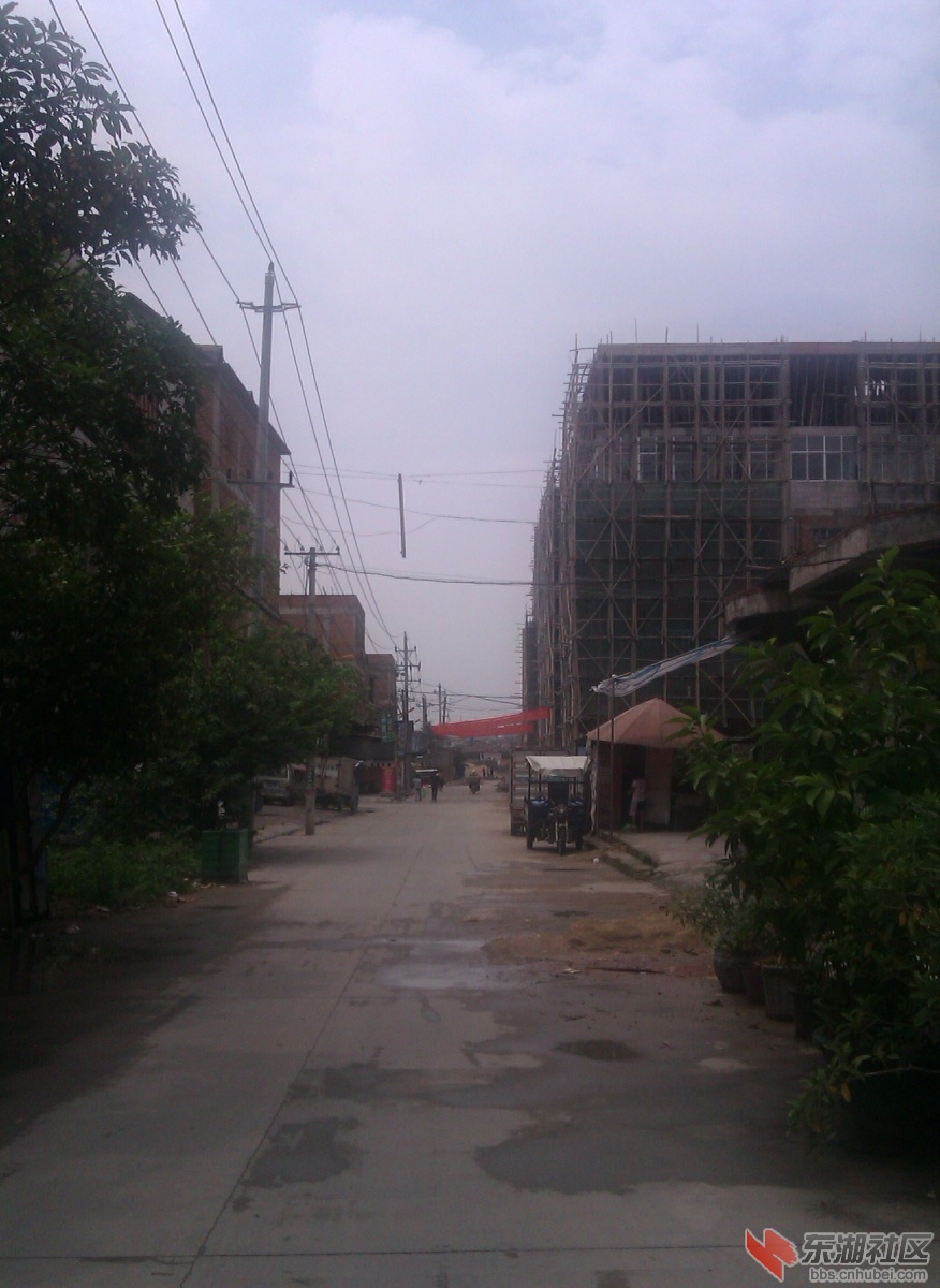 IMAG0272.jpg