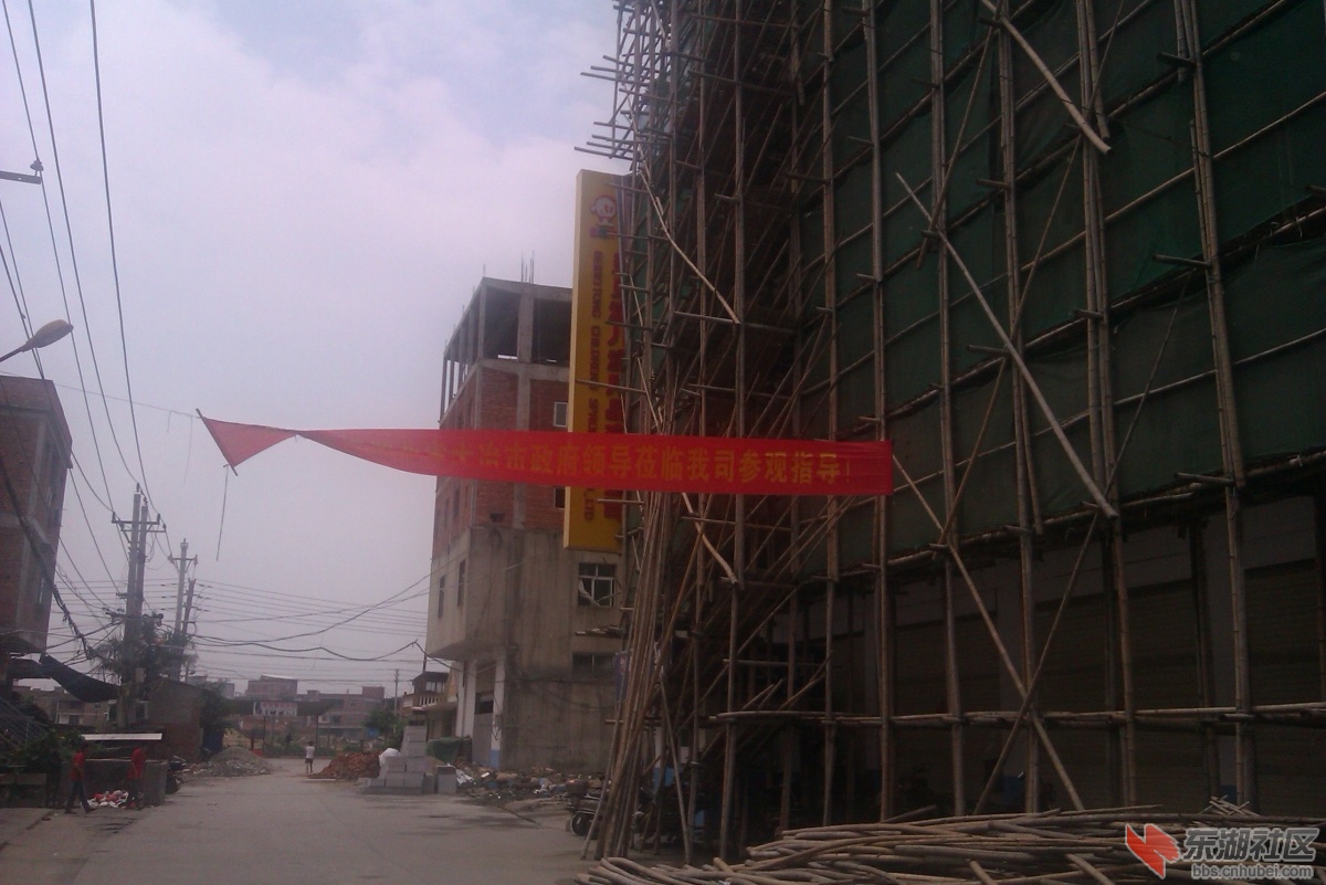 IMAG0273.jpg