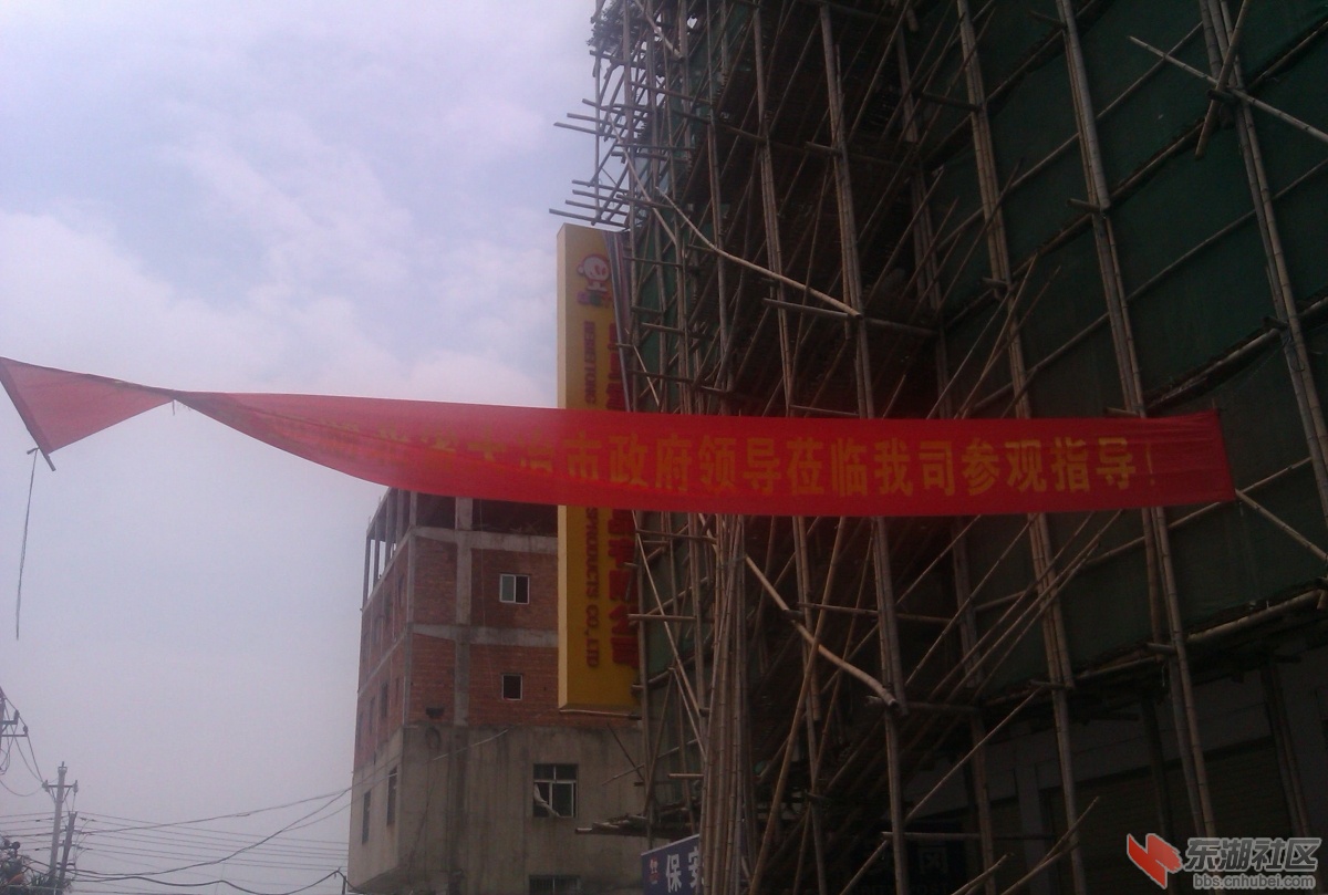 IMAG0274.jpg