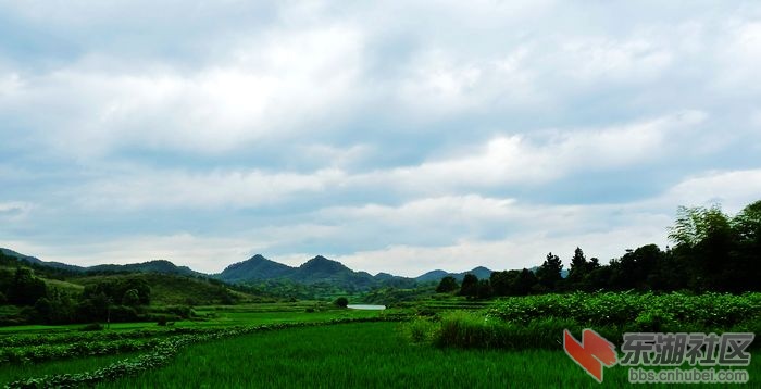 乡野.jpg