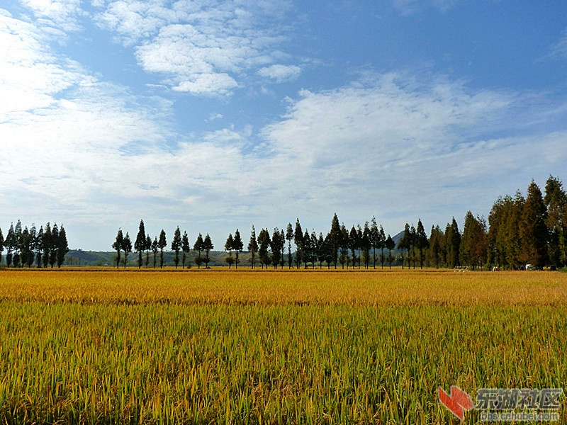 p1210178_副本_副本.jpg