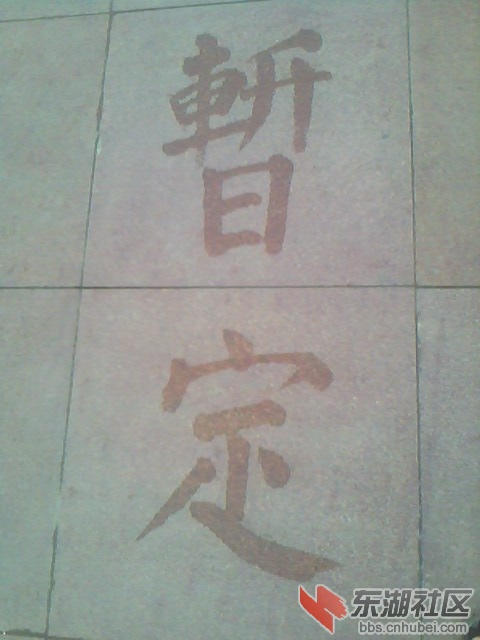 IMG6319A.jpg