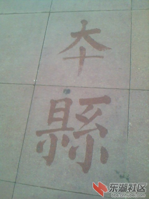 IMG6320A.jpg