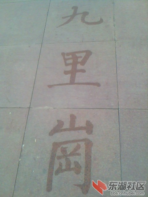 IMG6321A.jpg