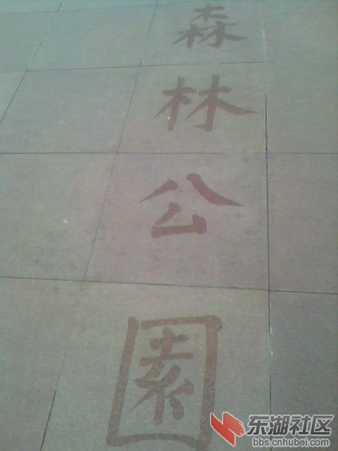 IMG6322A.jpg