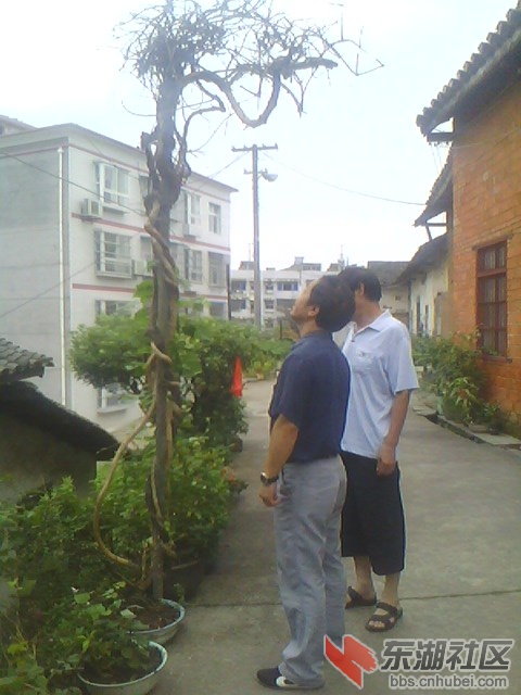IMG6323A.jpg