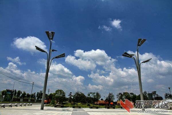 nEO_IMG_照片 1135.jpg