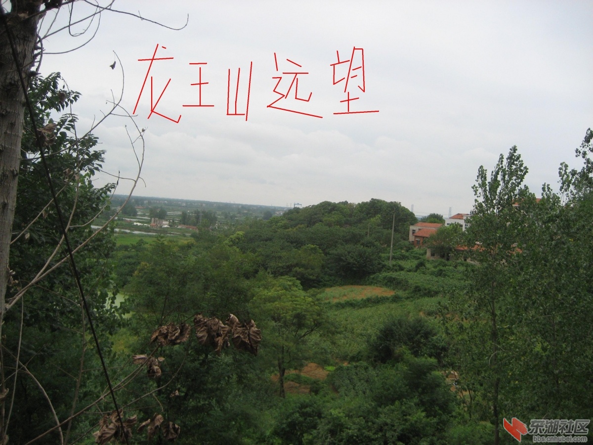 中环对接体育 016.jpg