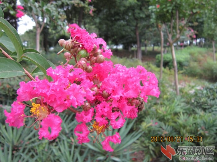 nEO_IMG_照片 205.jpg