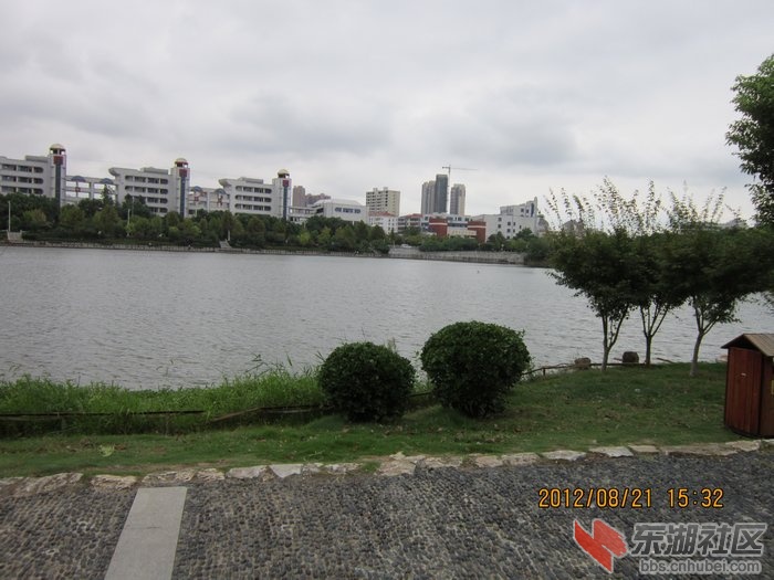nEO_IMG_照片 208.jpg