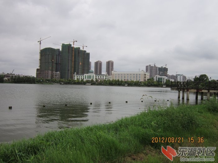 nEO_IMG_照片 214.jpg