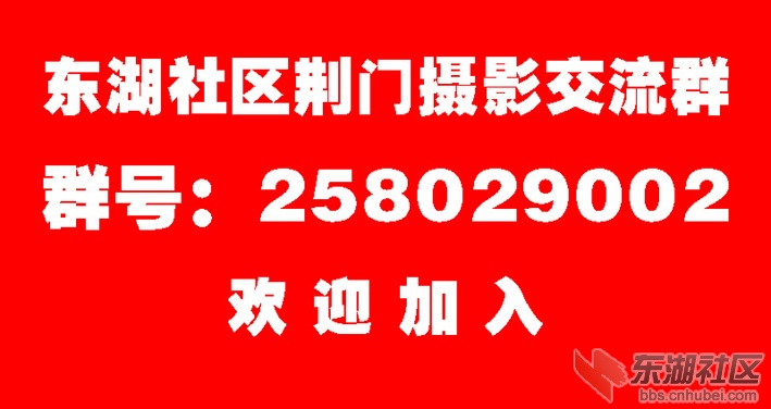 群号.jpg