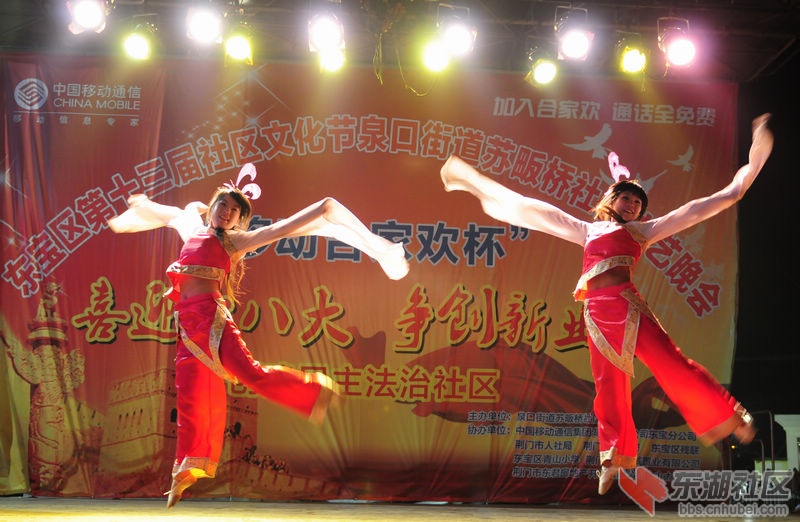 苏畈桥晚会10.jpg