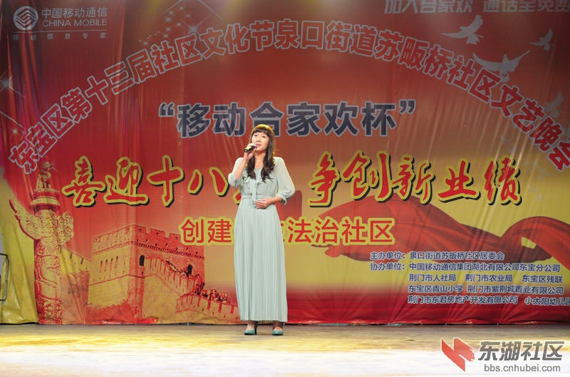 苏畈桥晚会11.jpg
