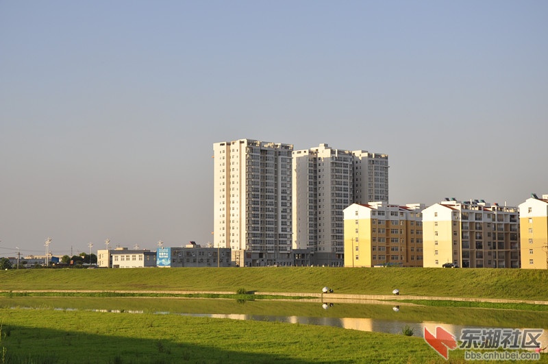 _DSC0130_副本.jpg