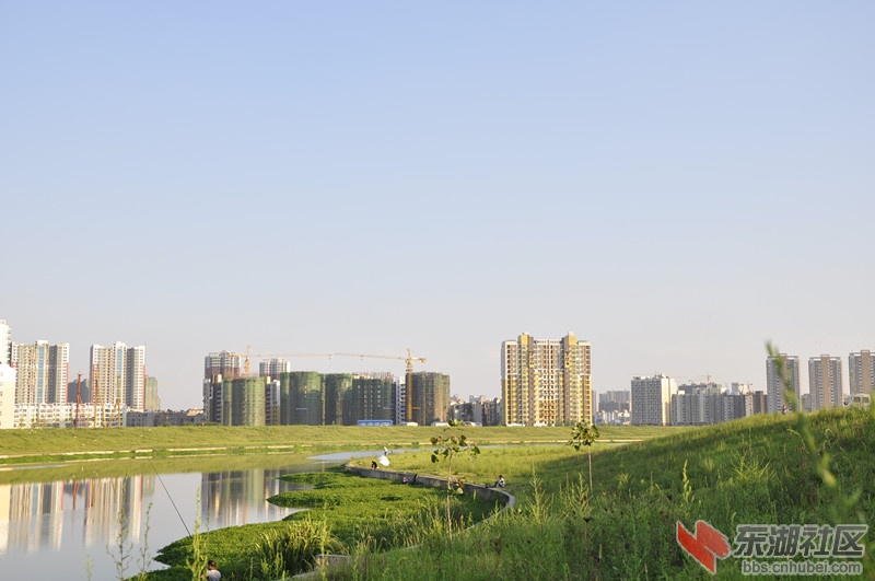 _DSC0106_副本.jpg