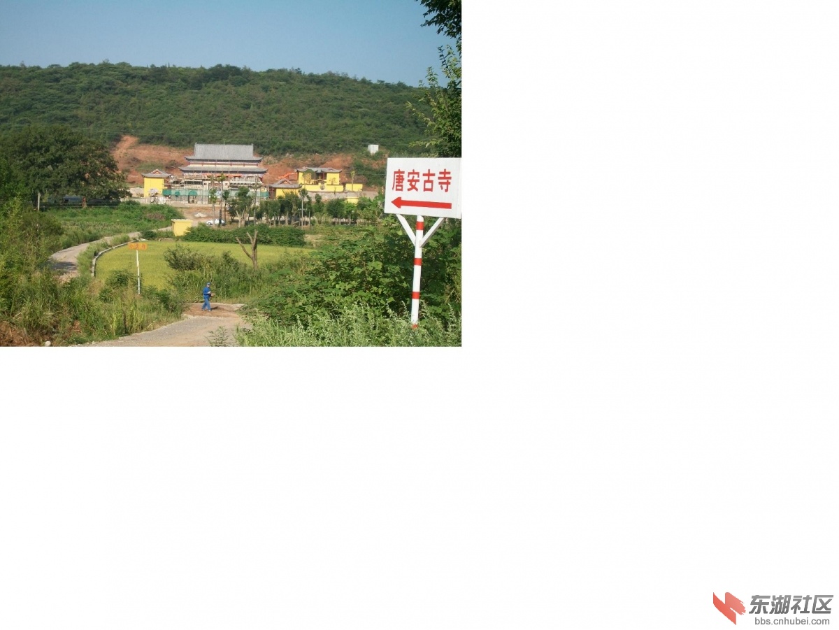 ALIM唐安古寺在建中.JPG