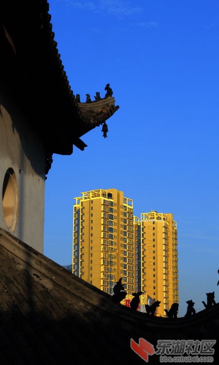 _MG_0171.jpg