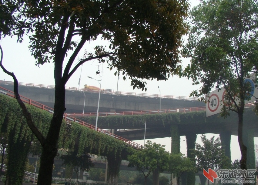 5243.jpg