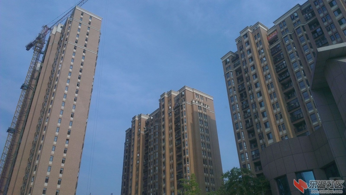IMAG0001(1).jpg