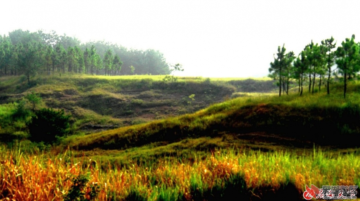 140906h9l09l74m995y9yz.jpg