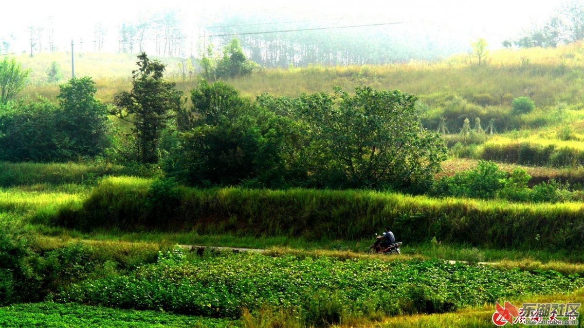 141903bkkkcqkbpkaku3im.jpg