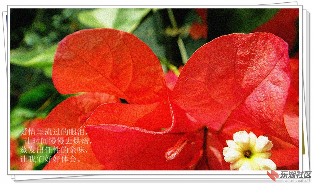 DSC01310_副本.jpg