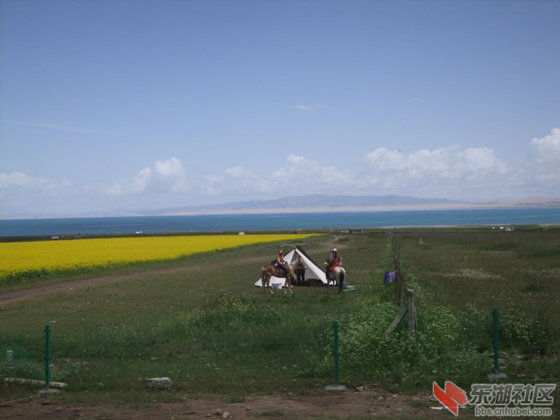 DSCF9865.jpg