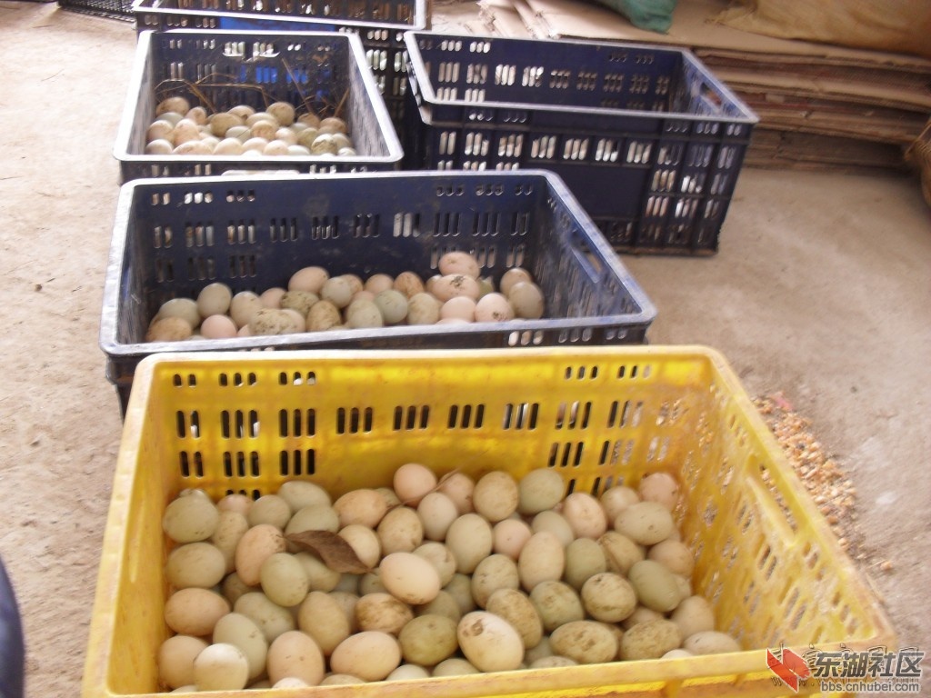 conew_sdc12610.jpg