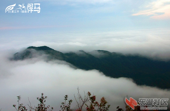 0 (72) 拷贝.jpg