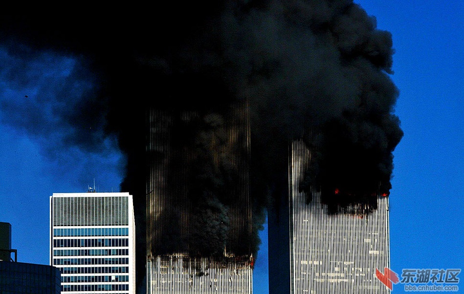 123698142_231n.jpg