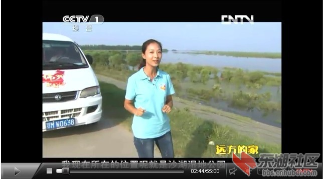 沙湖湿地公园