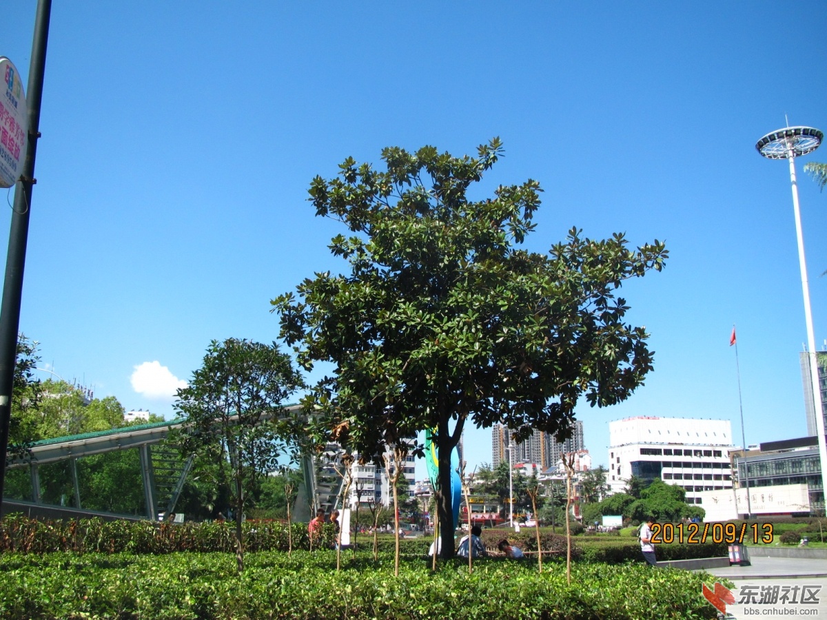 IMG_4778.JPG