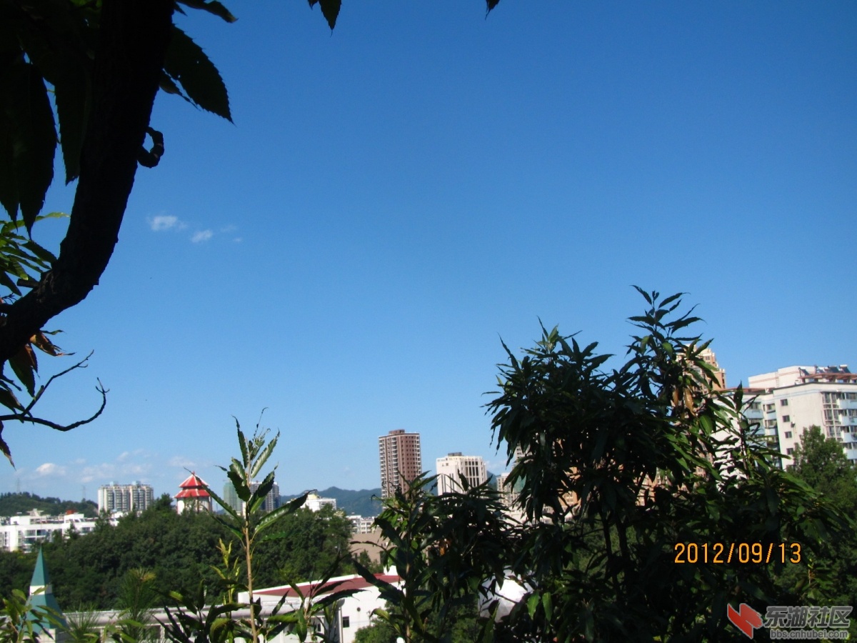 IMG_4800.JPG