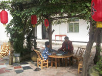 大院紫藤架.jpg