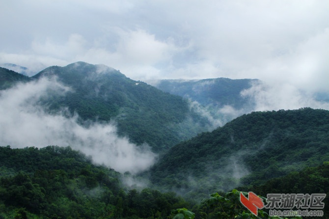 天台山云雾照.jpg