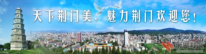 荆门全景图1.jpg