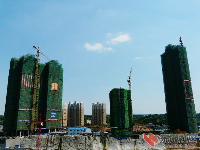 P1960640.JPG