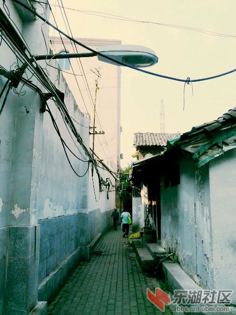 P1960828.JPG