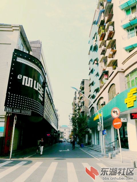 P1960820.JPG