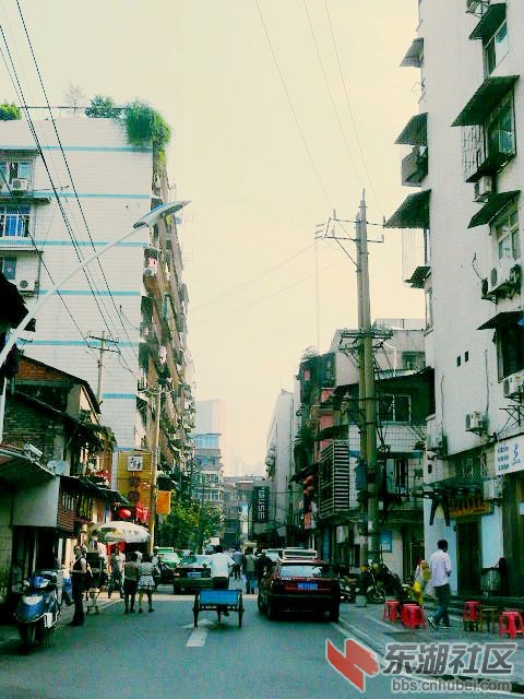 P1960826.JPG